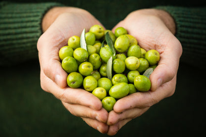 Early Harvest (Bio), extra vergine